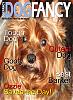 Make a Dog Fancy cover-ozziecover3.jpg