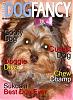Make a Dog Fancy cover-sukoshis-dog-fancy-magazine-cover-jpg.jpg
