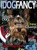 Make a Dog Fancy cover-dogfancycoverr.jpg