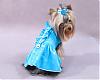 Queequeg's Great Adventure & Her Dresses from HollyDay Pet Couture-img_0596.jpg