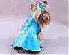 Queequeg's Great Adventure & Her Dresses from HollyDay Pet Couture-img_0597.jpg