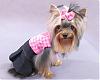 Queequeg's Great Adventure & Her Dresses from HollyDay Pet Couture-img_0603.jpg