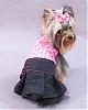 Queequeg's Great Adventure & Her Dresses from HollyDay Pet Couture-img_0606.jpg