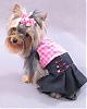 Queequeg's Great Adventure & Her Dresses from HollyDay Pet Couture-img_0609.jpg