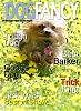 Make a Dog Fancy cover-2a72427b-cebd-4eb7-a3ec-099173715dea.jpg