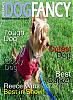 Make a Dog Fancy cover-dog-fancy-2.jpg