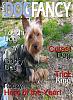 Make a Dog Fancy cover-magazine-cover.jpg