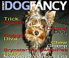 Make a Dog Fancy cover-dogfancy2.jpg