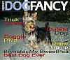Make a Dog Fancy cover-dogfancy3.jpg