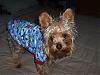 Conner in His New Go.Fetch Nightshirt-conner-5.jpg