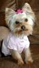 Just groomed & new clothes - LOL!-miafeb051.jpg