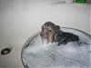 I just love bath time!!-rszbath2.jpg