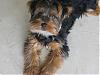 Biggie is 5 Months-picture-254_2.jpg