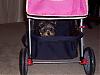 Zoey got a new stroller-stroller.jpg