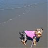 Finally, beach pictures!-i-feel-so-small-.jpg