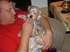 look at this pictures that what dog love is all about-picture-984.jpg