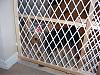 Heidi's in doggy jail...-100_2269_edit.jpg