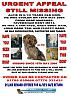My Stolen Yorkie-alfies-latest-poster.jpg