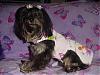 Trixie Bear got a new dress!!-trixie-bear-03.jpg