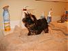 Bath Time for my furbabies???-s8001911.jpg