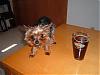 Please Post Funny Yorkie Pictures!-charlibeer.jpg