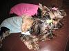 Sleeping Beauties-picture-005.jpg