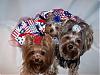 Pia, Trixie, Paisley & Snoot wish everyone a Happy 4th of July!!!-51-644-x-483-.jpg