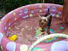 4th of July Fun in the Girly Pool!!!!!-4july-014.jpg