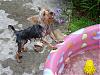 4th of July Fun in the Girly Pool!!!!!-4july-011.jpg