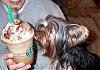 Care for some Starbucks??...-jens-pic-055.jpg