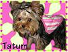 Tatum Pics....Long Overdue!!!-22.jpg