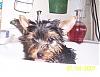 Gizmos First Bath-gizmo-bath-1.jpg