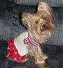 Destiny in her Patriotic dress!!-destiny-new-03.jpg