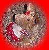 Destiny in her Patriotic dress!!-destiny-new-09.jpg