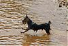 Pics of Hannah at the lake-jump-.jpg