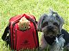 Jaxon and His Doggies-jaxon-his-doggie-winchester-lunch-bag.jpg