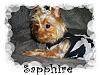 Sapphire & Gwen-image-7.jpg