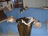 a lazy afternoon-picture-1105.jpg