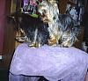 New Pics Of Peeka And Daisy Come See-s4010204c.jpg