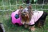 Soccer girl in pink, Diva A.P.Love...-ap1.jpg