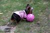 Soccer girl in pink, Diva A.P.Love...-ap4.jpg