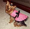 I Made Lacy A New Dress!-polka-dot4.jpg