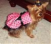 I Made Lacy A New Dress!-polka-dot2.jpg