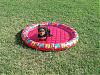 Bella in her pool-swimming1.jpg