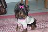 *Pretty-In-Pink*-roxie-4.jpg