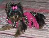 *Pretty-In-Pink*-roxie-8.jpg