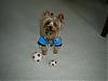 Attention, boys soccer team members only!-jaxon-soccer-star-2_june-07.jpg