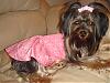 ♥Happy 3rd Birfday Momma Lilly !!♥-my-camera-1440.jpg