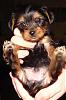 We are 5 weeks old now!-dsc04430-copy.jpg