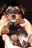 We are 5 weeks old now!-dsc04431.jpg